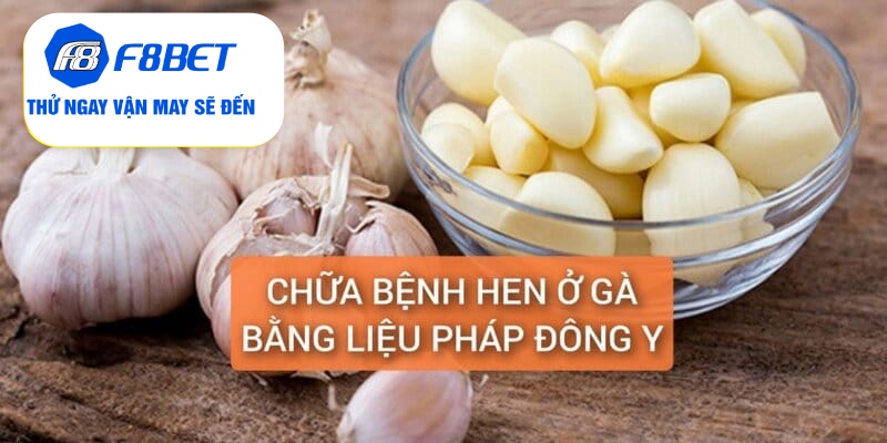 Chữa hen cho gà bằng phương pháp đông y